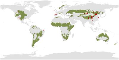 Effects of grazing exclusion on soil microbial diversity and its functionality in grasslands: a meta-analysis